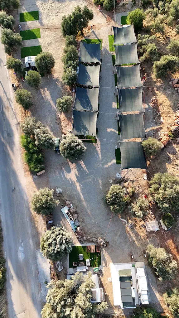 Gerenkuyu Karavan Parkı'nda volkanik kayalıklar ve zeytin ağaçları